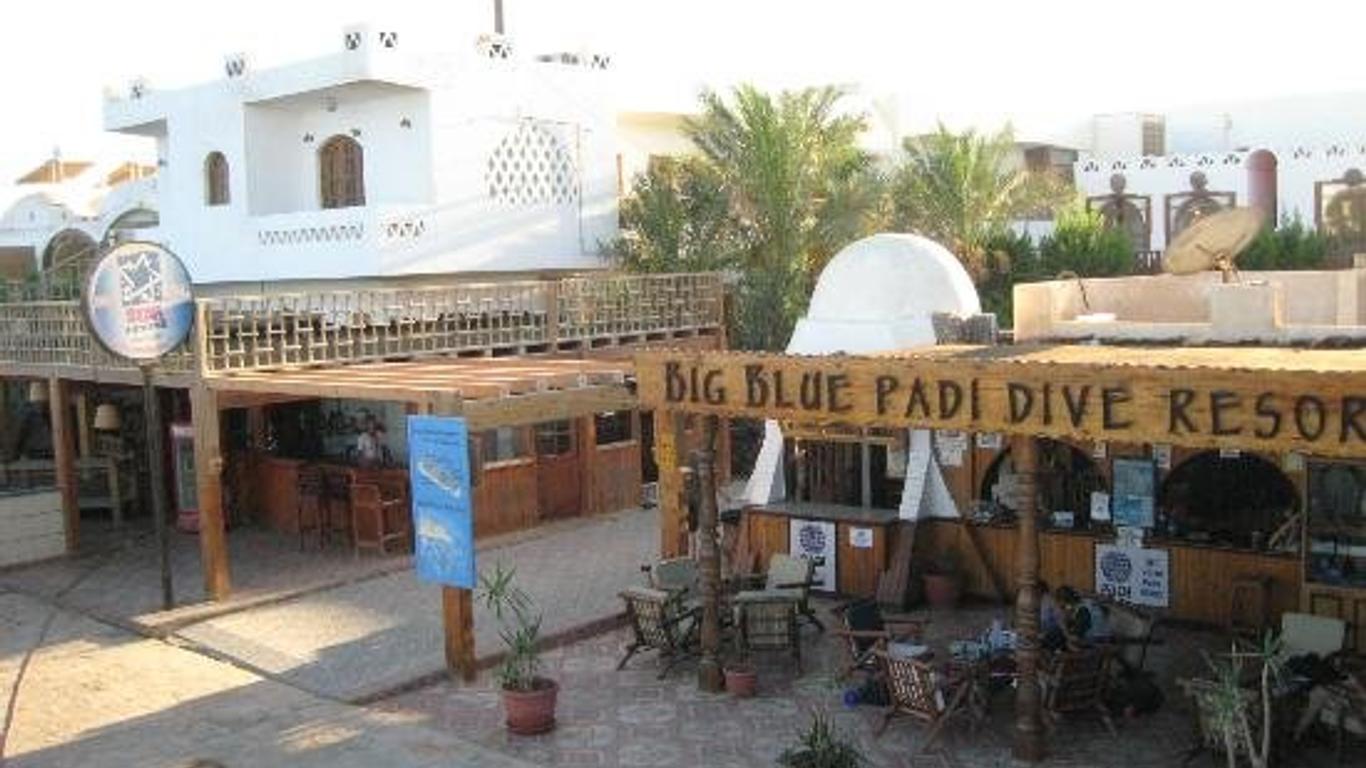 Star Of Dahab